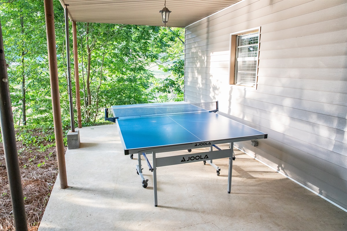 Ping Pong (Underneath Back Deck)