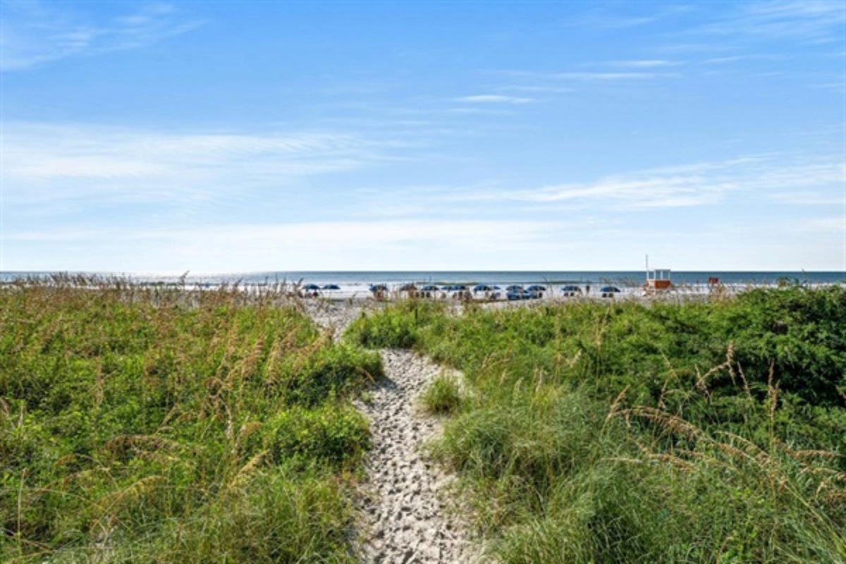 Windy Hill Dunes