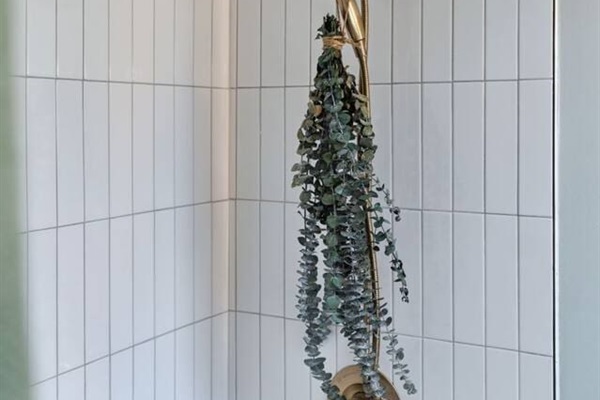 Elegant gold shower fixture paired with clean tilework and a touch of greenery for a fresh, spa-like feel 
