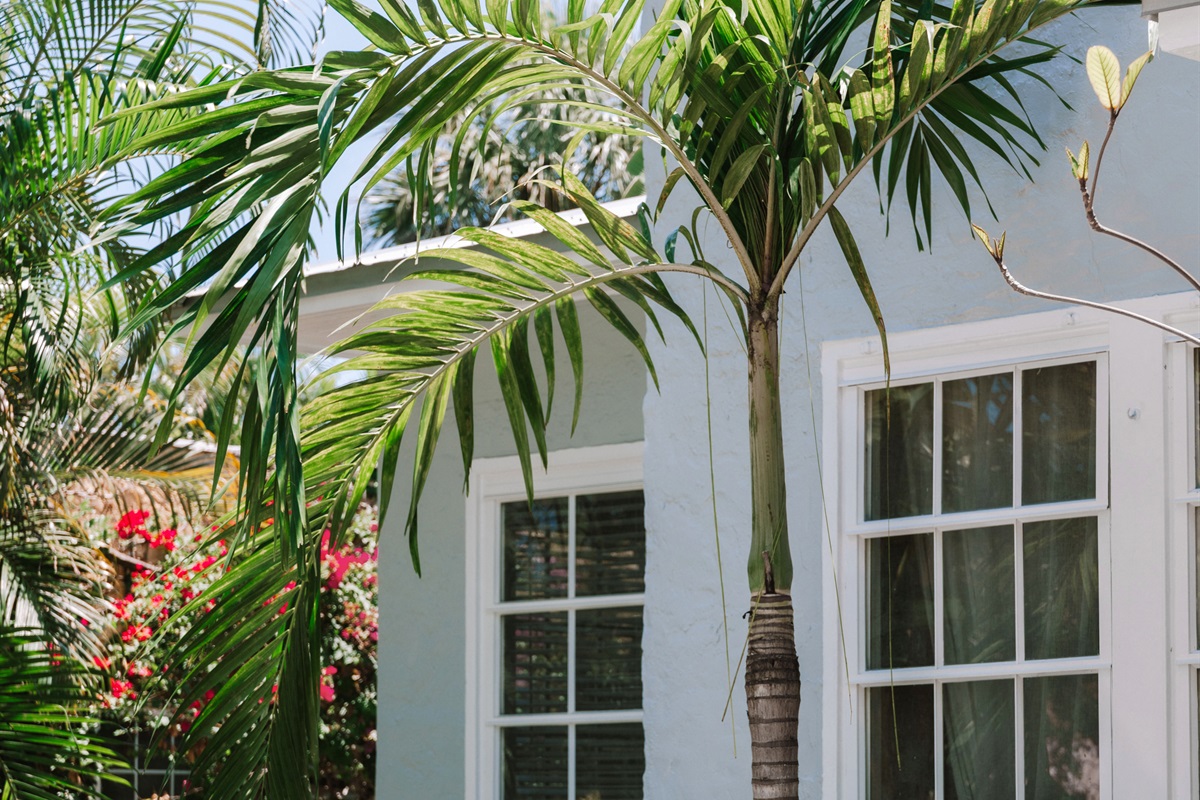 Welcome to The Grove House! Wherever you choose to relax here, serenity awaits.