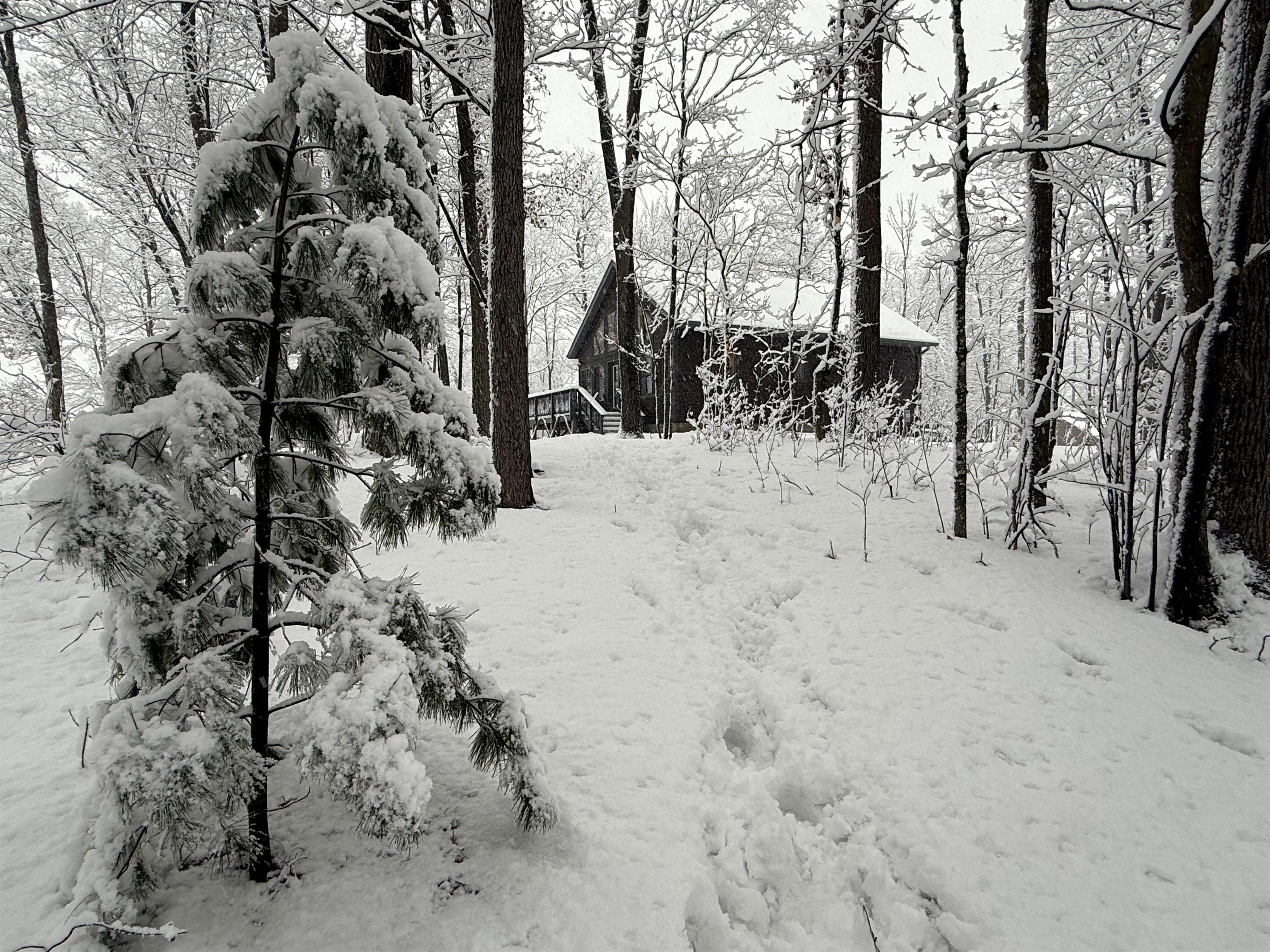 Welcome to Cattail Chalet!