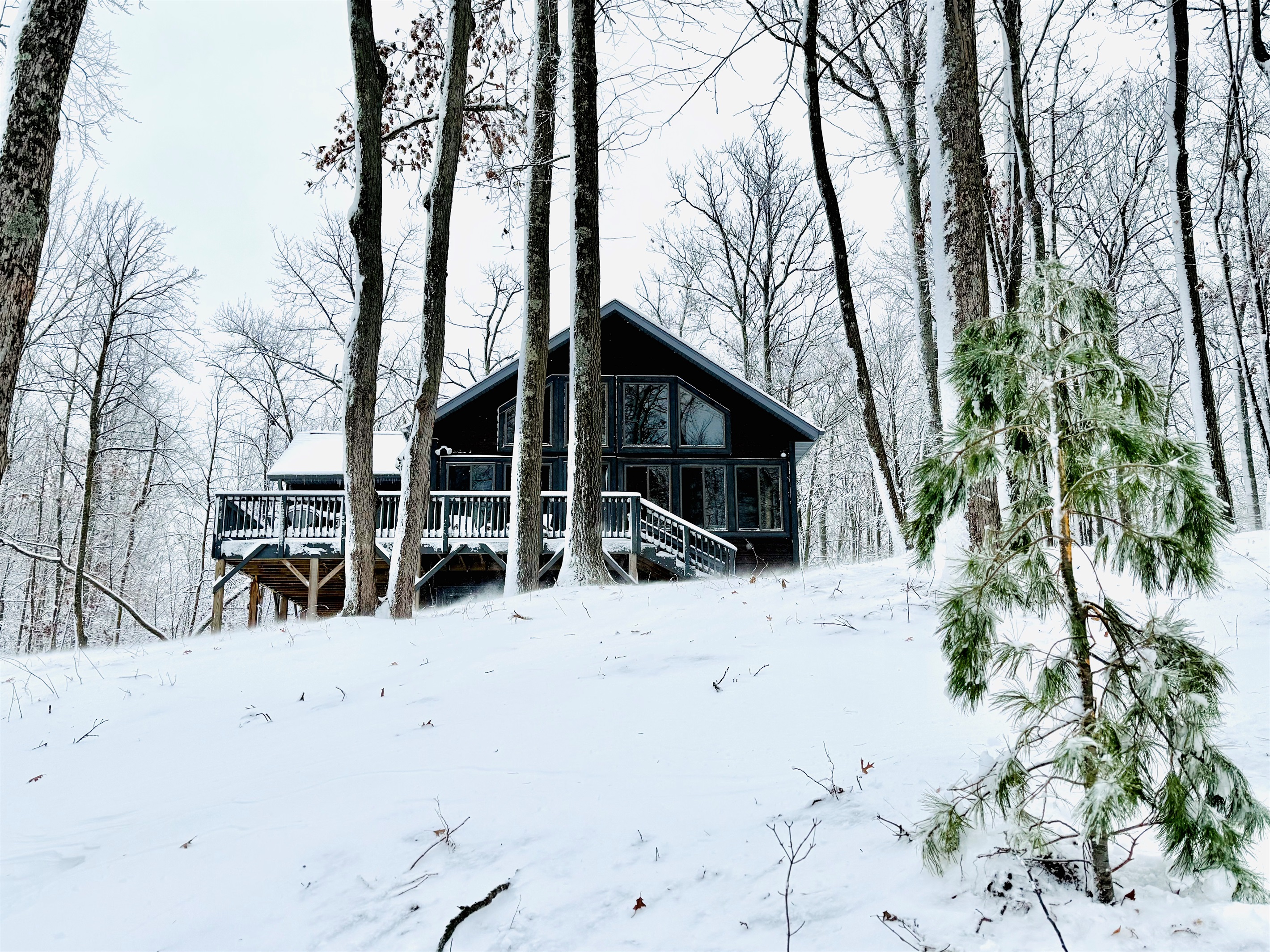 Welcome to Cattail Chalet!