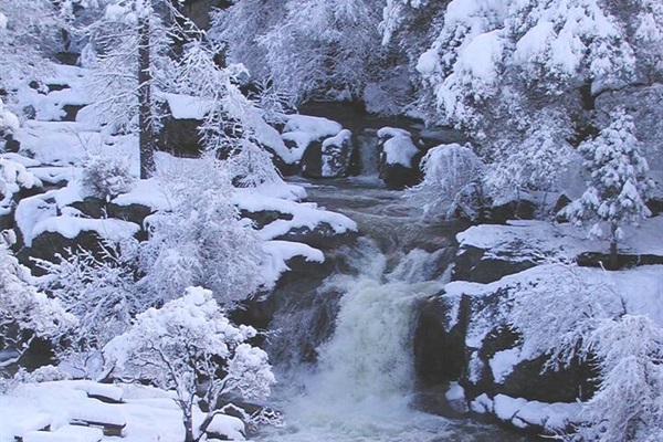 Sometimes we have 
white Christmas!