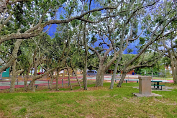 Park includes Pickle Ball, Tennis, Basketball, Yoga Center, Picnic Tables and dog park
