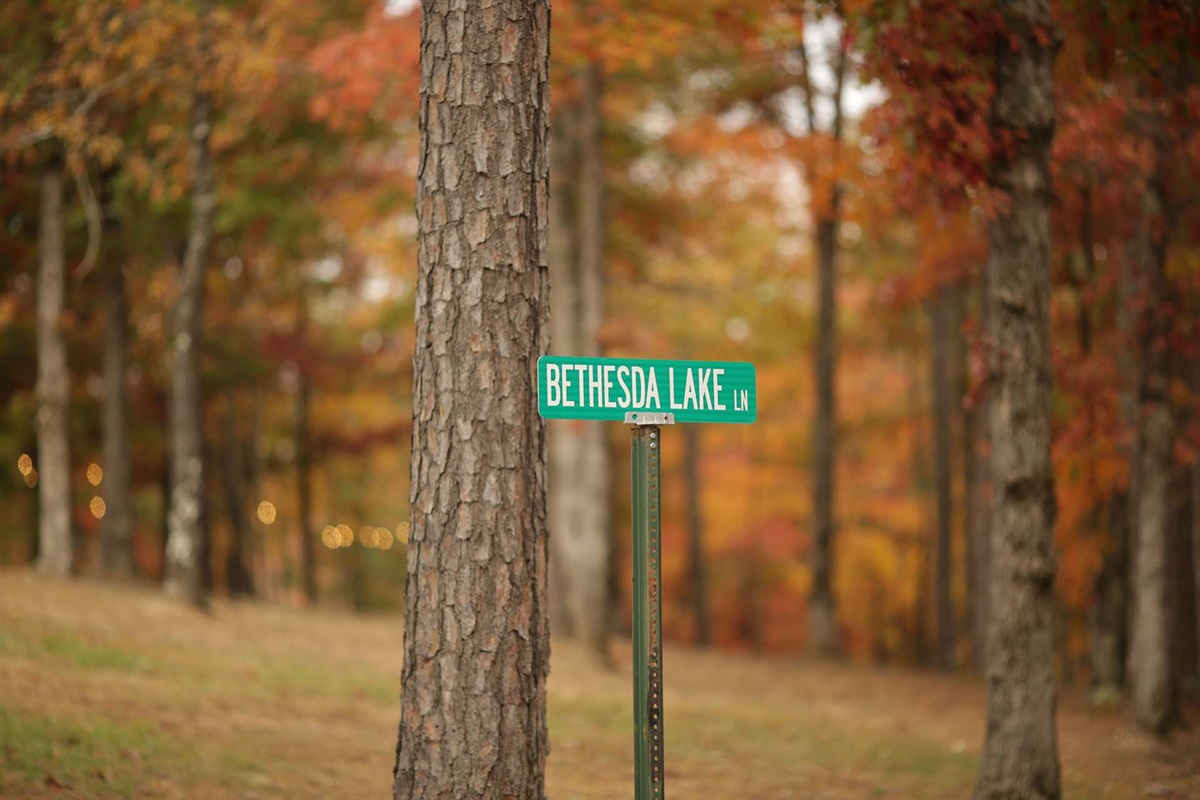 National Park-like setting