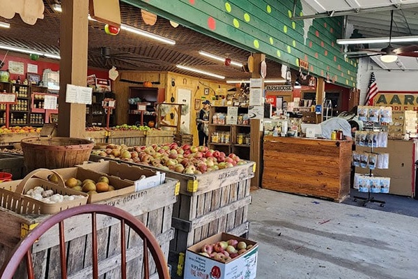 Ellijay is home to many of Georgia's most popular apple orchards!