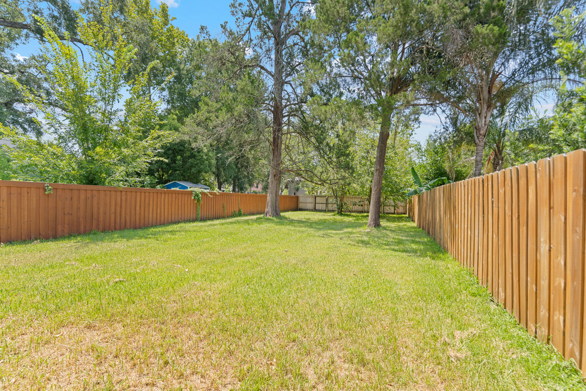 A big fenced yard shaded by old Florida pines, with room for tag, for the dog, for a blanket and a nap. Space like this is rare in the middle of the city, and for this week it is all yours. Let them run it off.