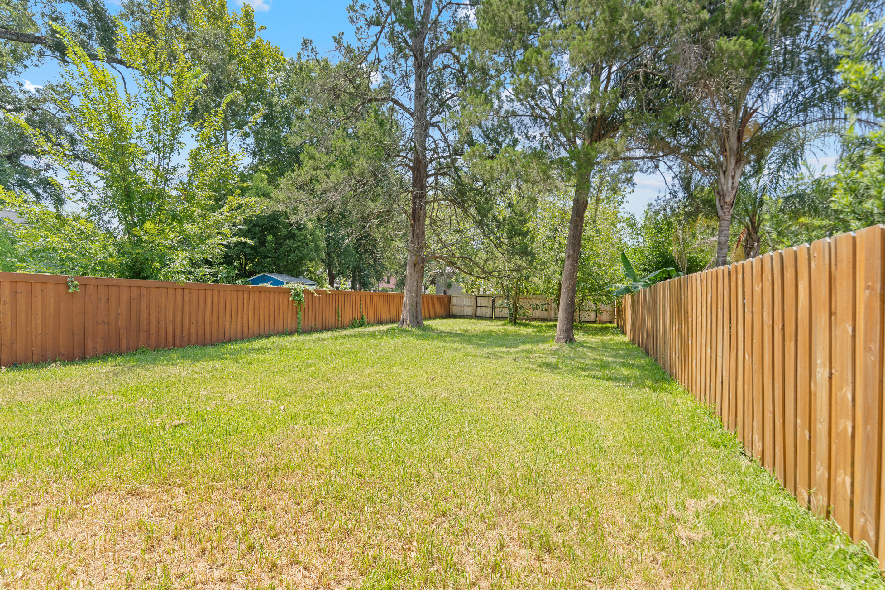 A big fenced yard shaded by old Florida pines, with room for tag, for the dog, for a blanket and a nap. Space like this is rare in the middle of the city, and for this week it is all yours. Let them run it off.