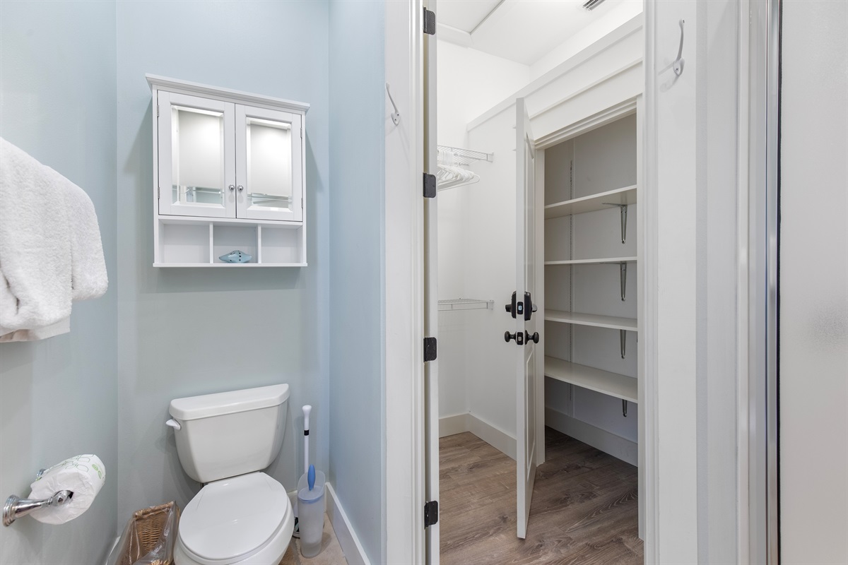 Large Closet: Master