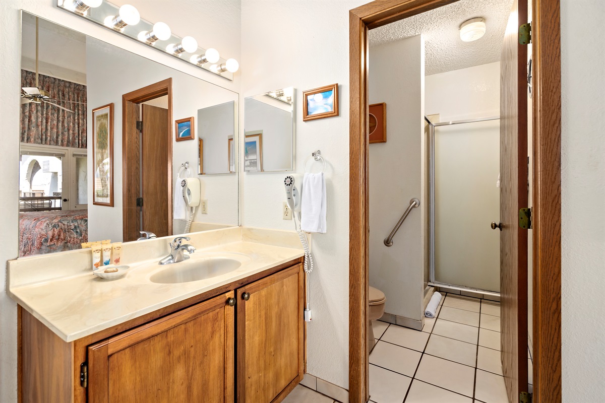 Primary bathroom with walk-in shower and separate sink area