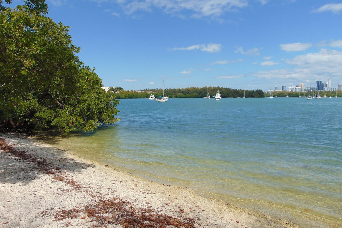 Biscayne Bay at FIU North Campus