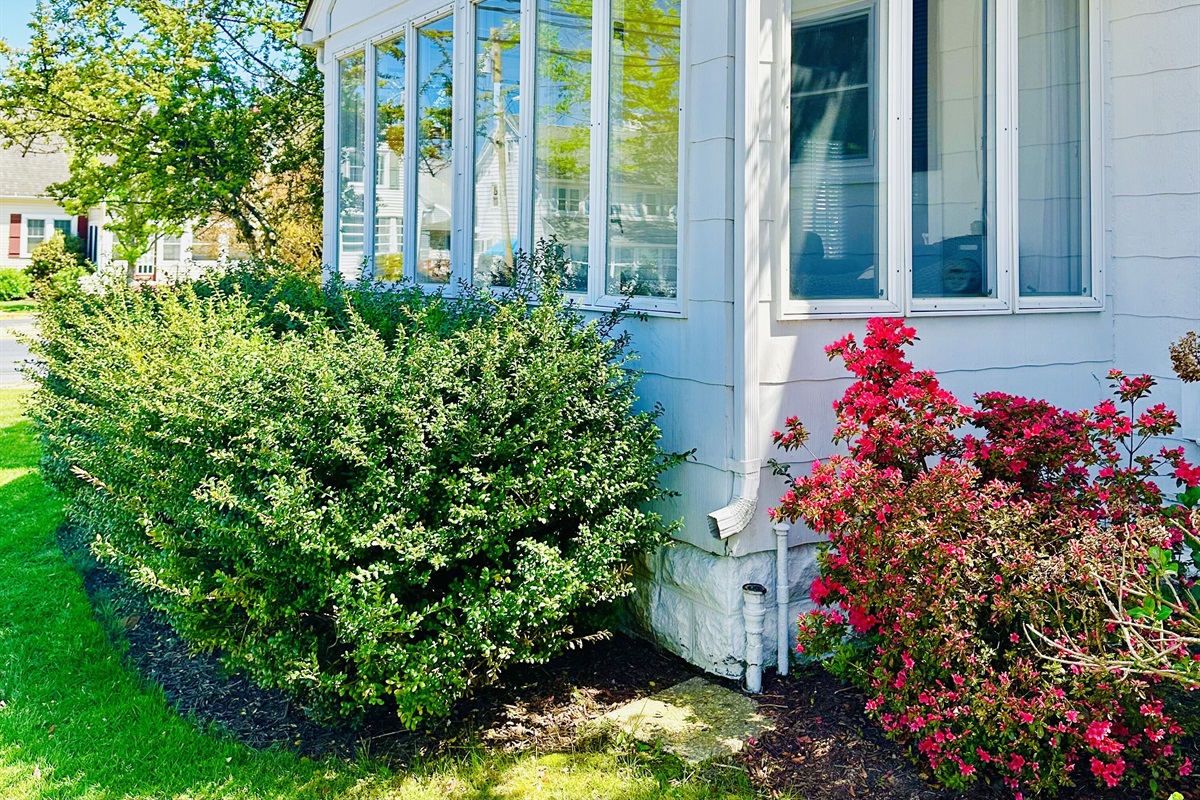 outdoor view of sunroom 