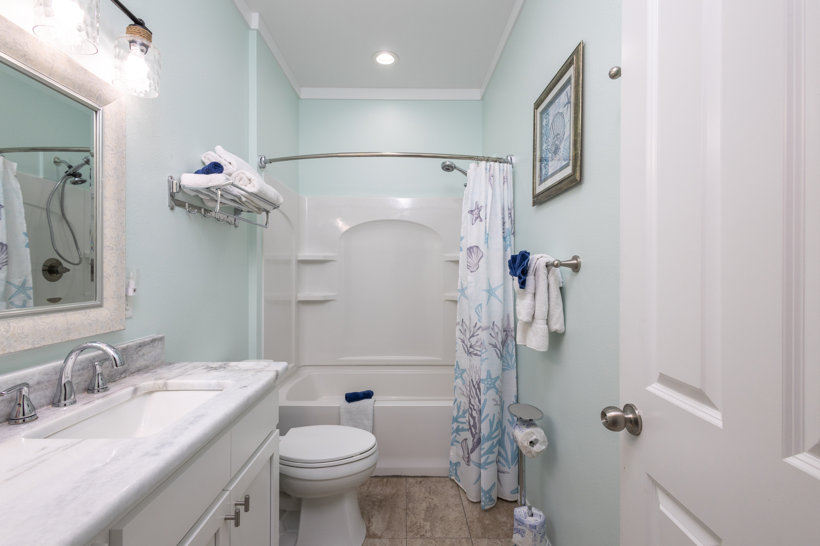 Guest shower/tub combo