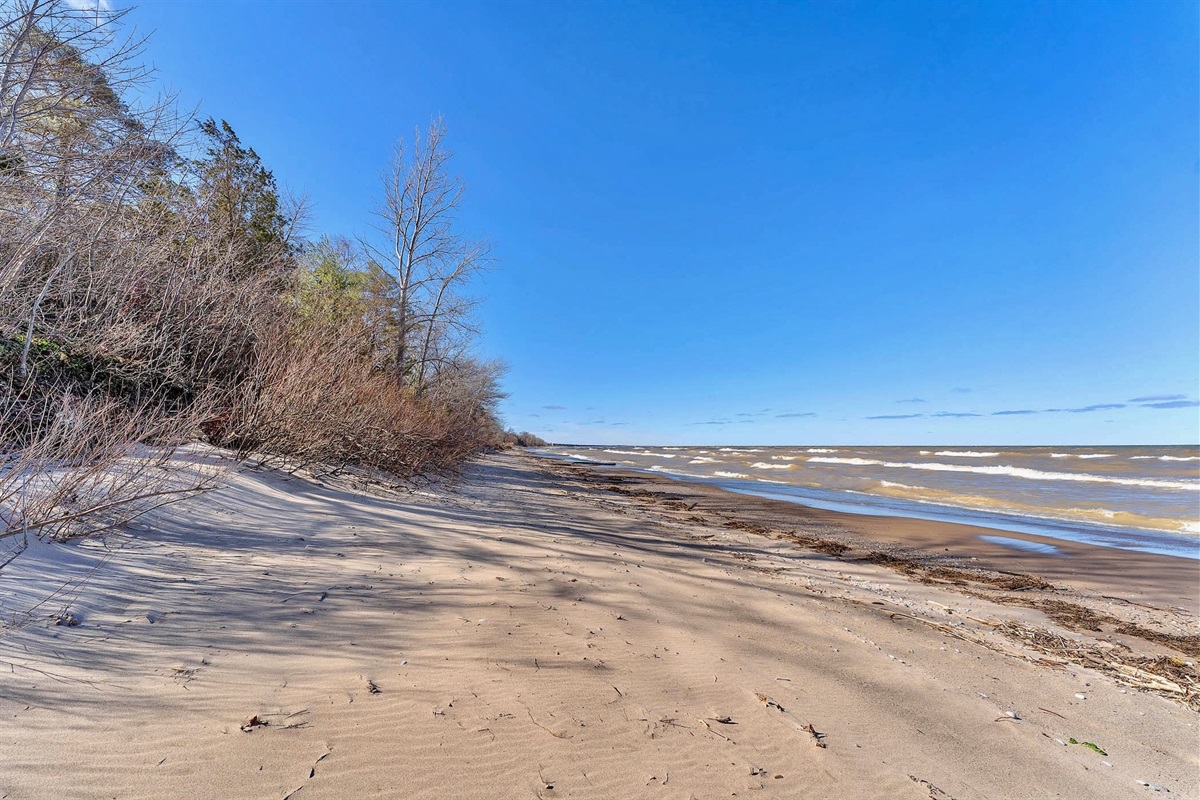 62d28ae5cfa2424b84e414b2ec83cf62 Large