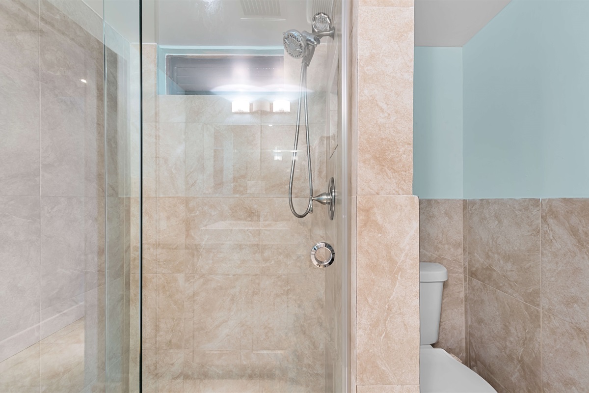 Main floor bathroom shower