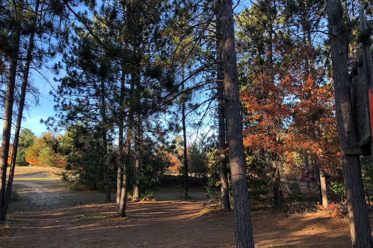 Stones Throw Cottage is located on 3.4 acres of land, featuring large red pines, and a mixture of hardwood trees. Trails are not available for use with machines, but be our guest and walk them to enjoy. 
