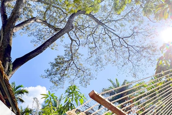 Large two person hammock (limit 450lbs) is in the back corner under the shade tree.  Enjoy a book and a nap in the morning sun.  