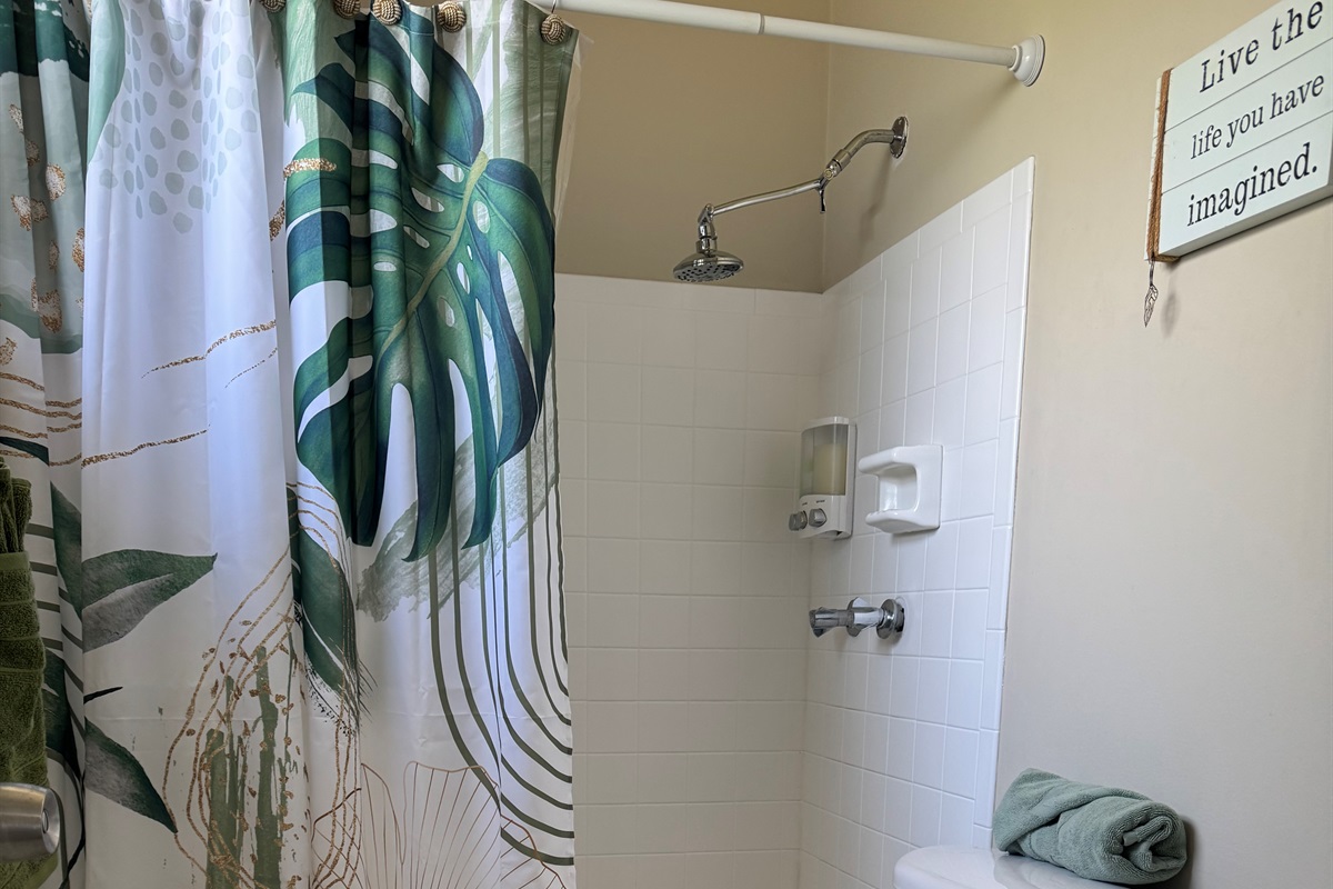 Master bathroom, ensuite, walk-in shower
