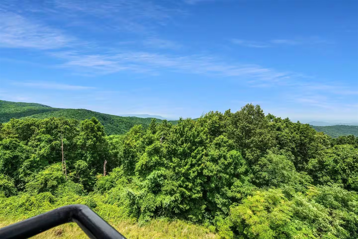 Smokey Mountain Views