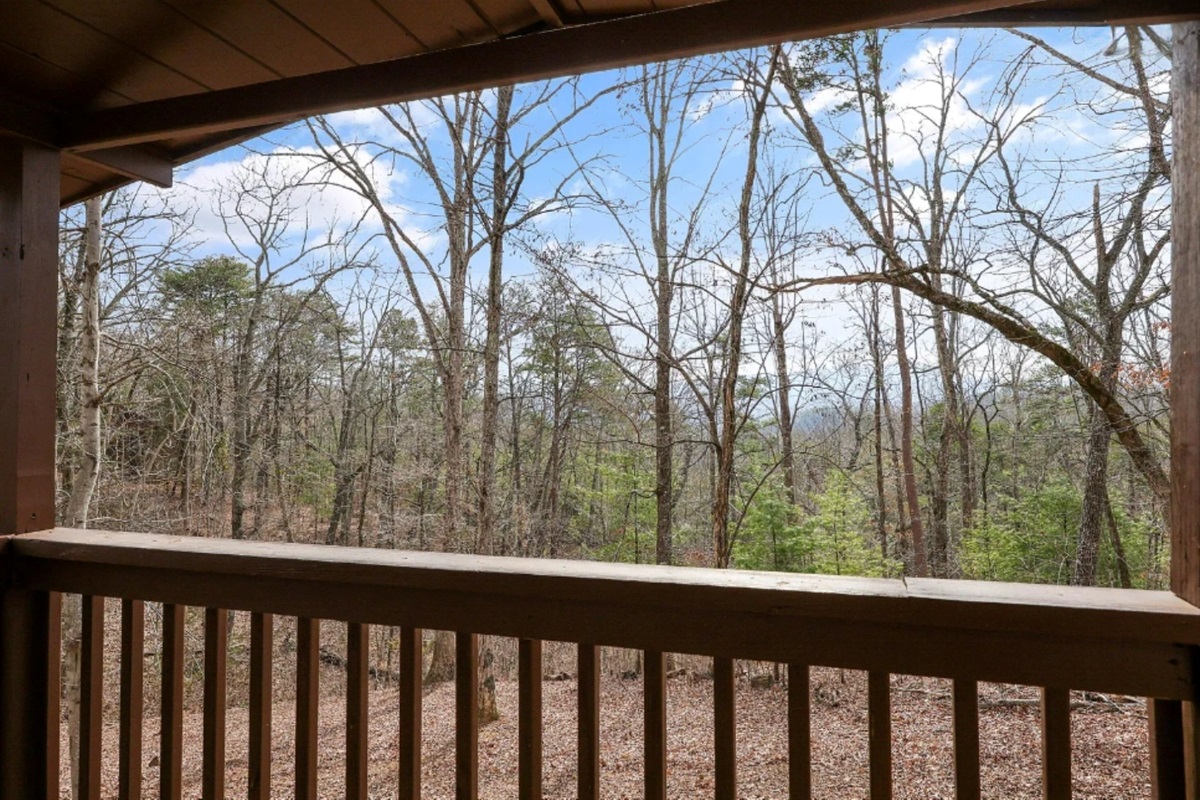 Peaceful wooded view