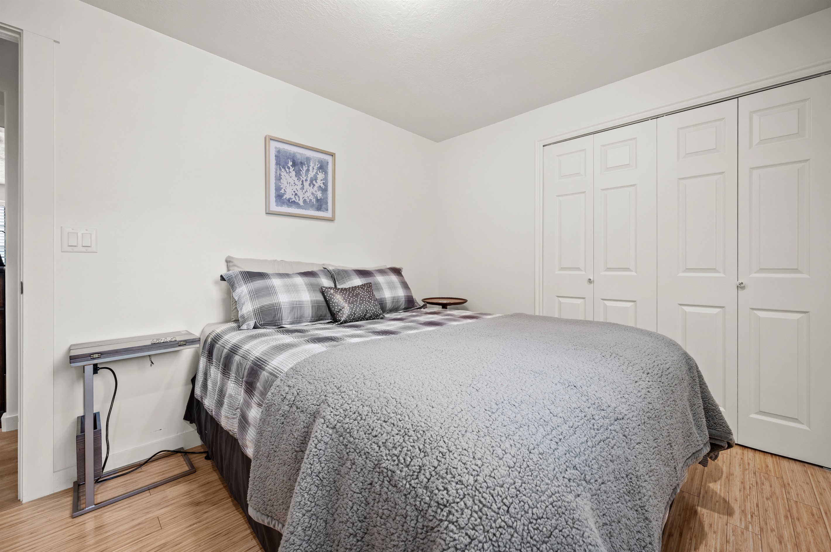 Lower Level Bedroom