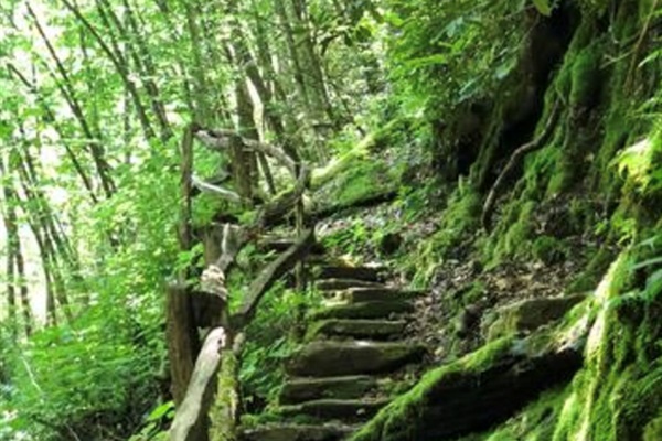 private hiking trials in connestee