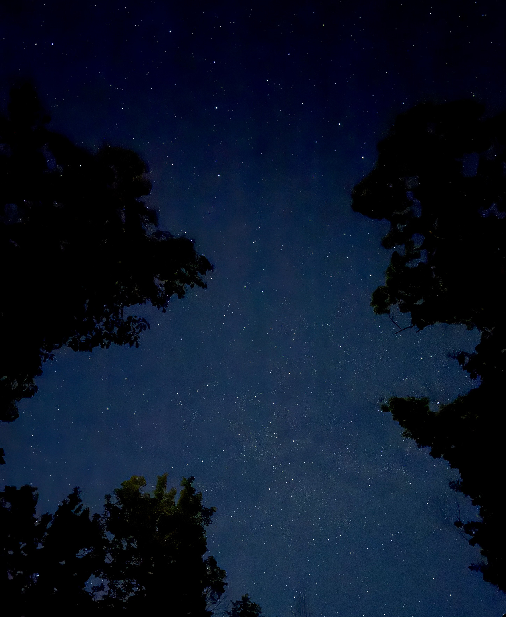 Stargazing is incredible here.  Check out the Milky Way galaxy!