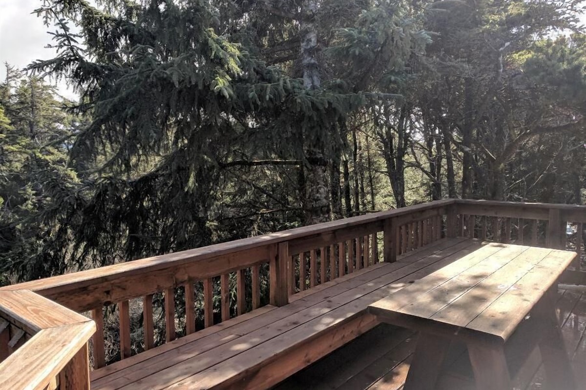 Back Deck off  family room