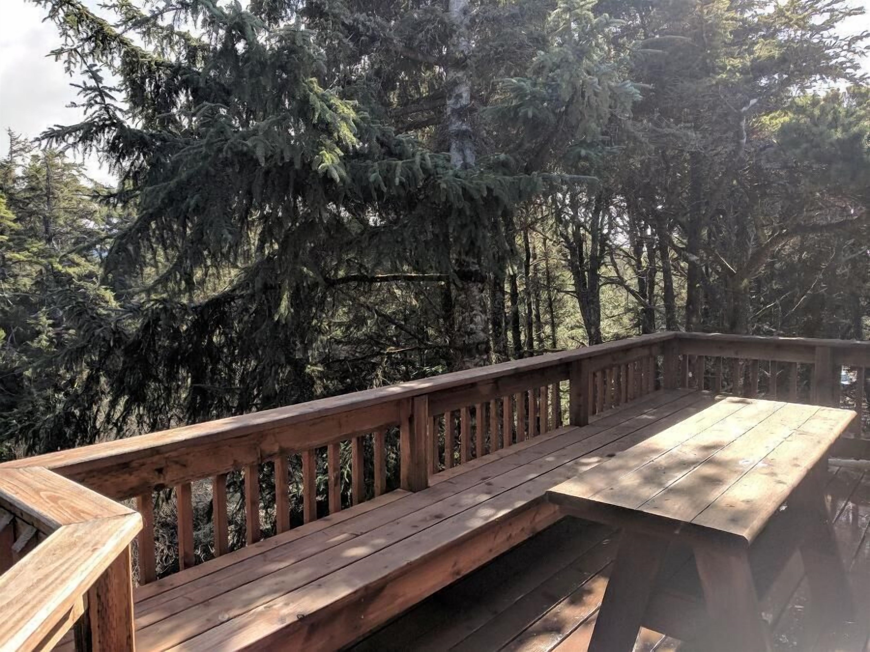 Back Deck off  family room