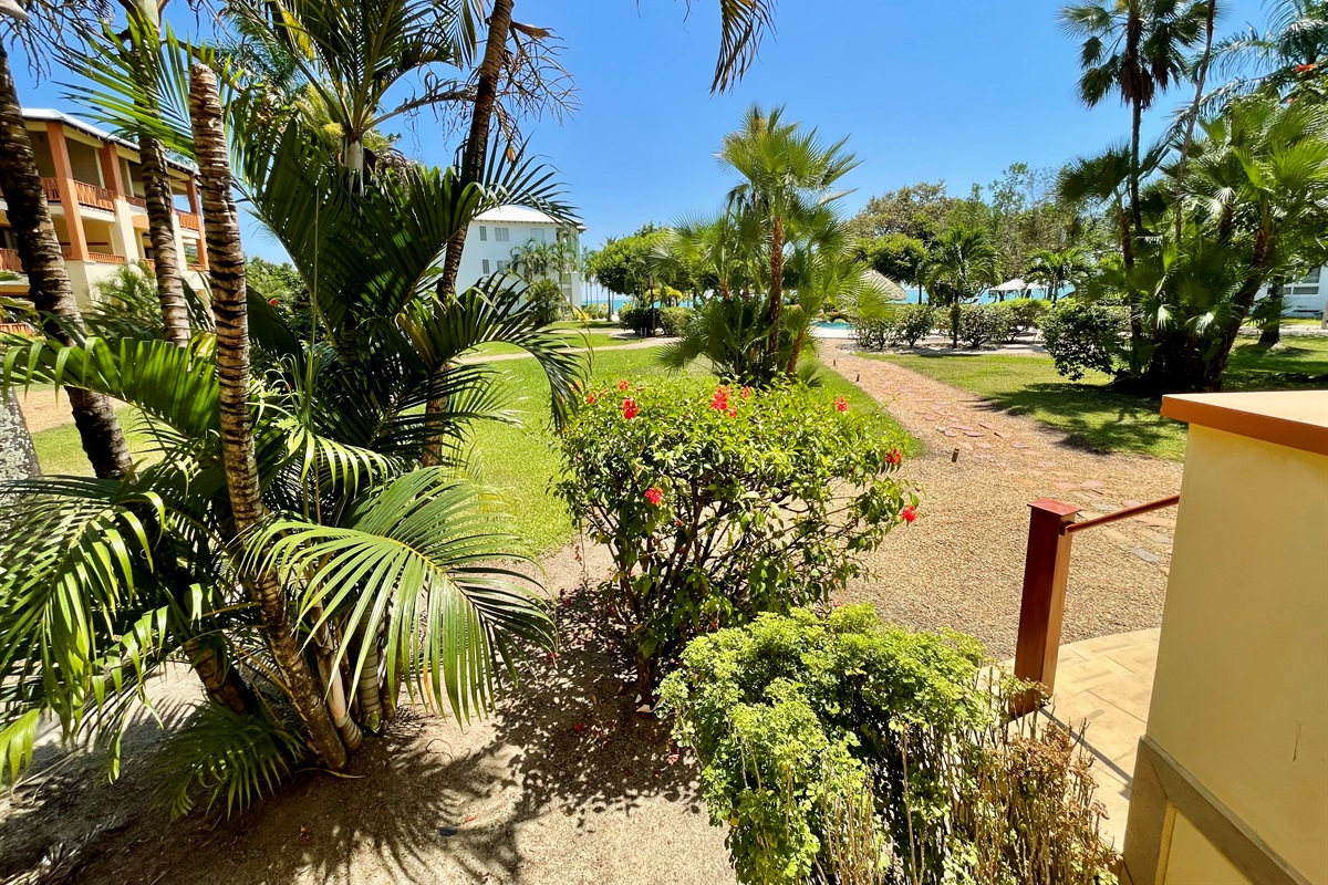 View from Patio