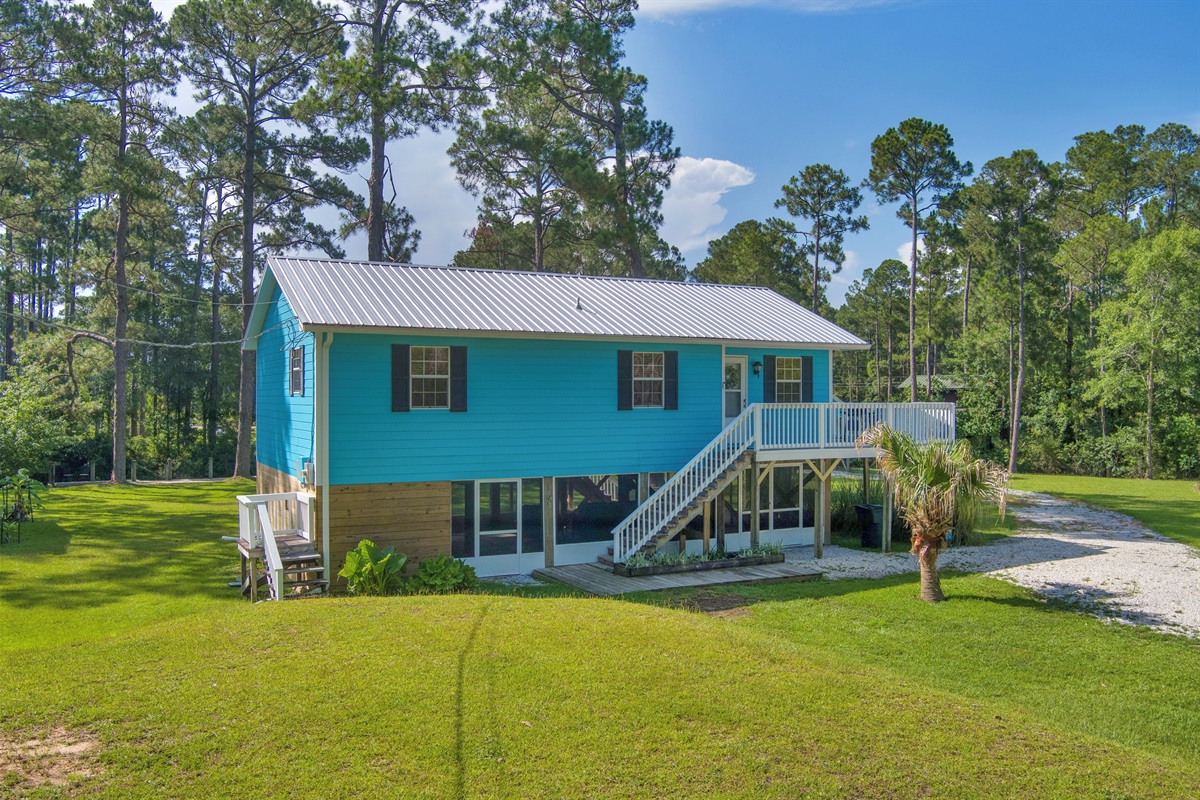 The Blue House