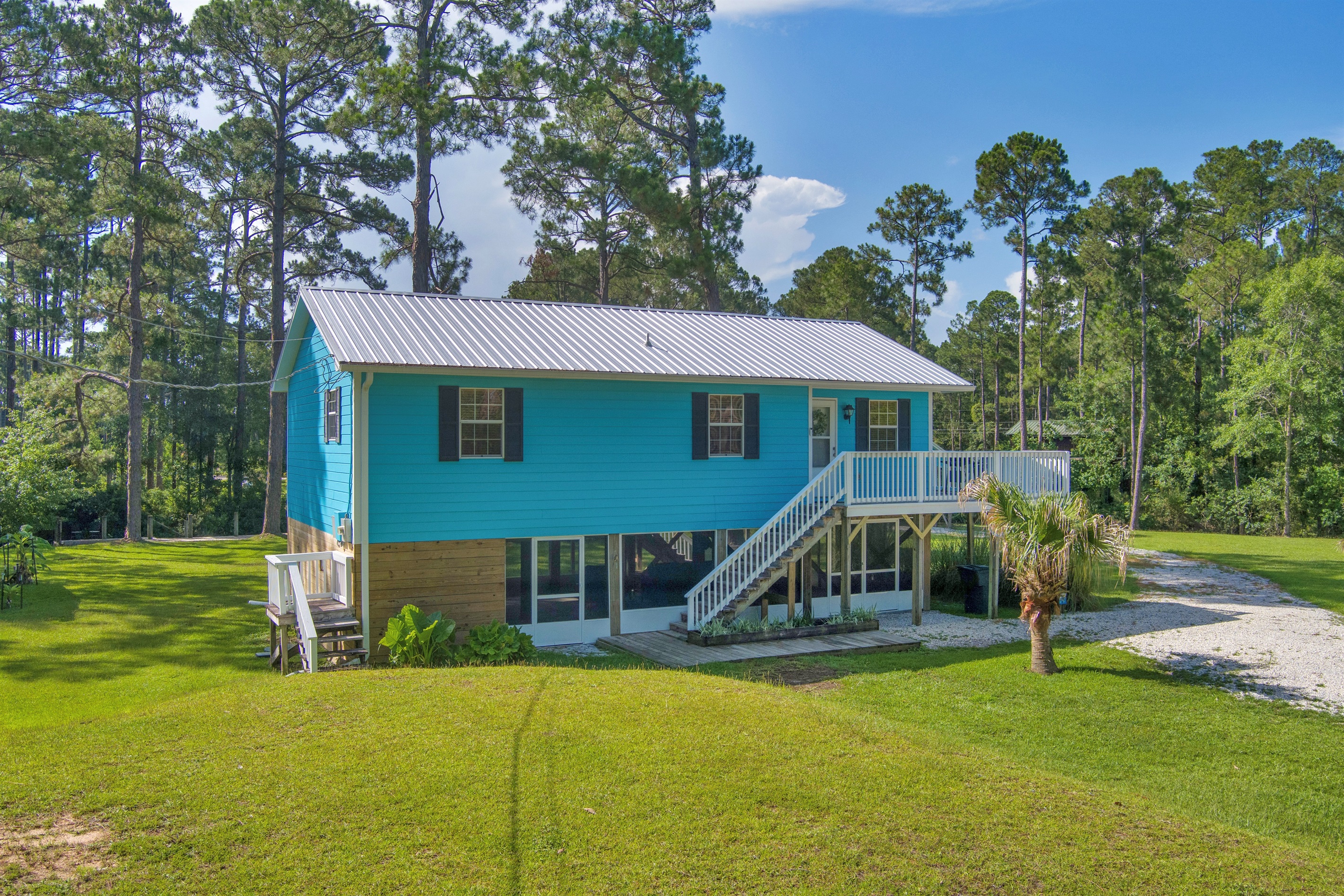 The Blue House