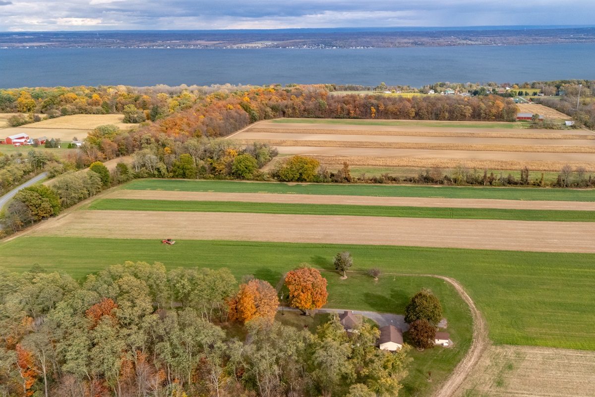 Golden fields and lake views create a picture-perfect Finger Lakes moment