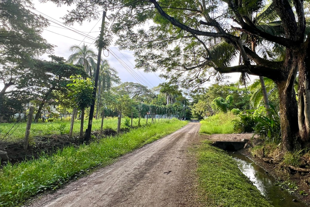This is the road to the beach with a short two minute walk.  Neighborhood is quiet with beautiful trees lining the road.  Sometimes you can see howler monkeys hanging out here.  