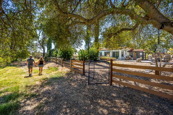 Explore the grounds
