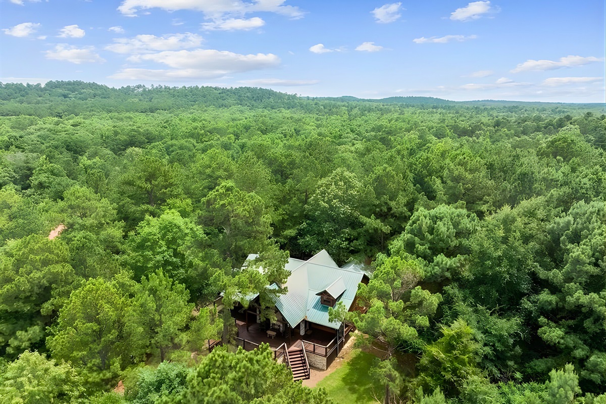 From above, the cabin is surrounded by endless forest views.