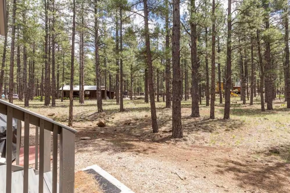 Peaceful forest surroundings offering privacy and room to explore.