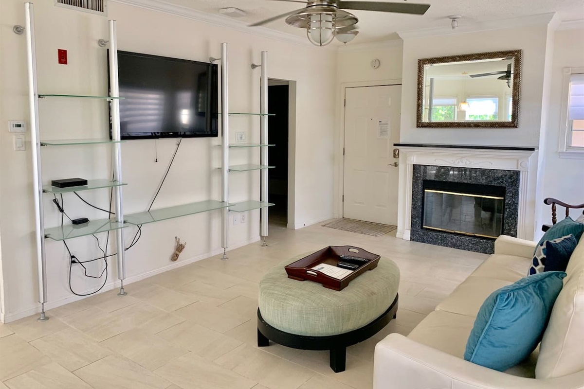 HDTV & Fireplace in Family Room