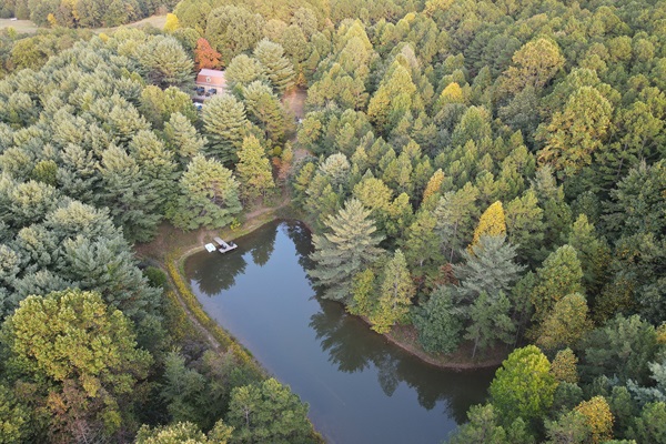 Private pond for catch and release fishing, Peddle boating, and star gazing