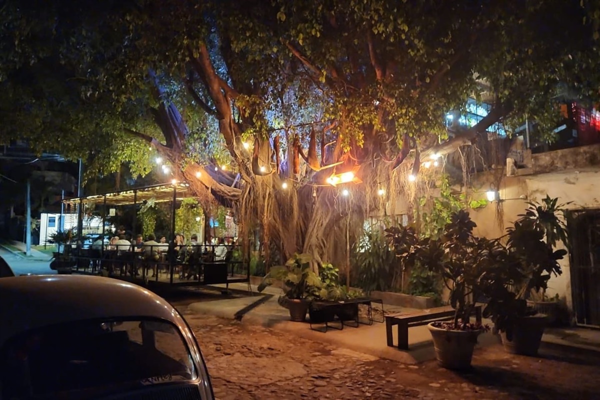 La Negra Restaurant 