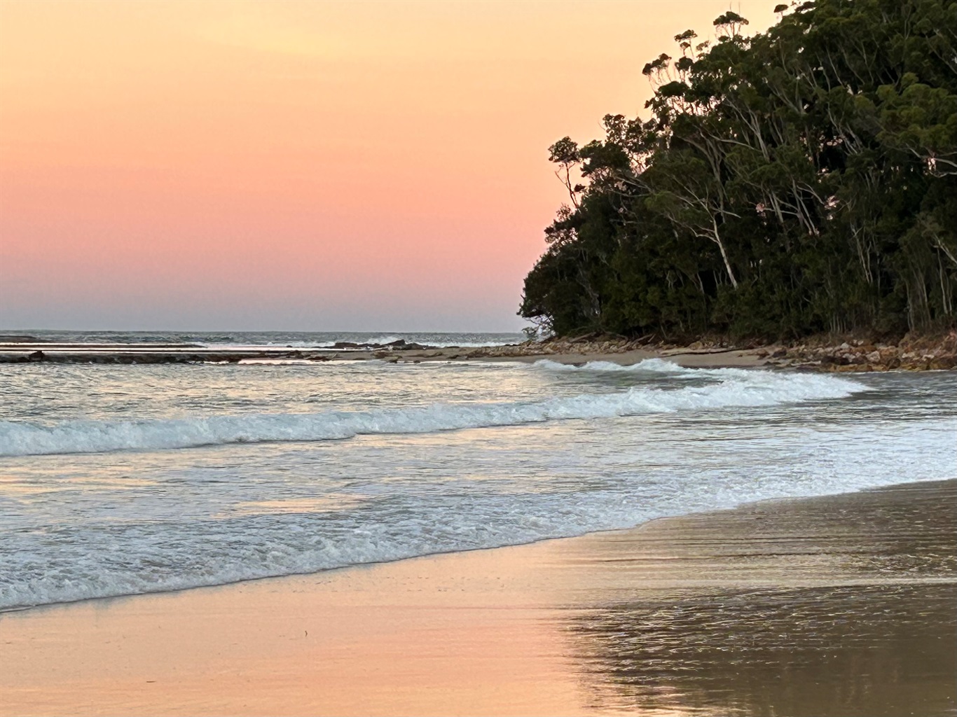 Southern headland of Mollymook Beach at sunset with pink sky, trees and small waves.