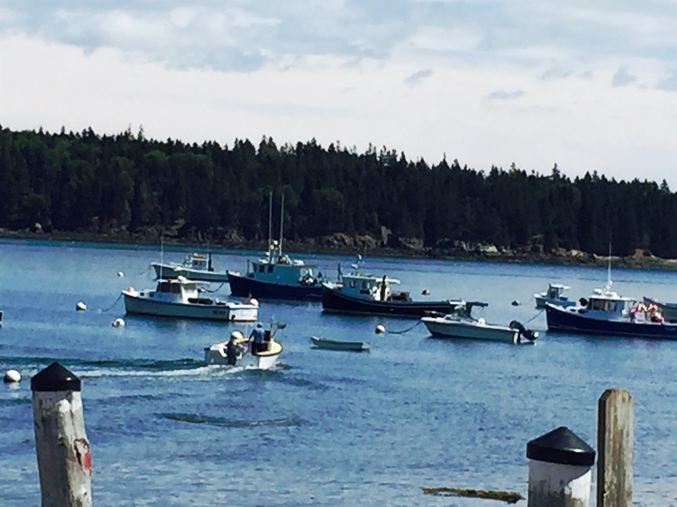 Owls Head harbor