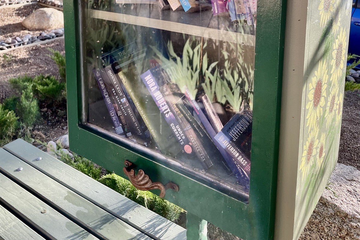 Explore our Little Free Library, stocked with a diverse collection of books lovingly shared and replenished by the community.