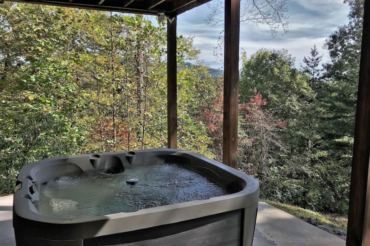 Enjoy & Relax in the private hot tub. 