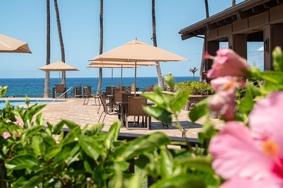 Beachfront Pool!