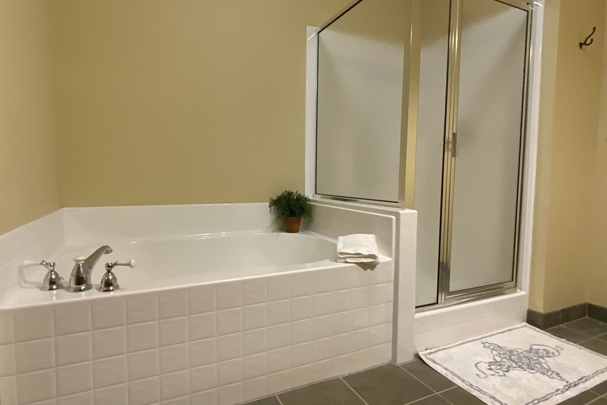 Soaker tub and shower in the master bathroom