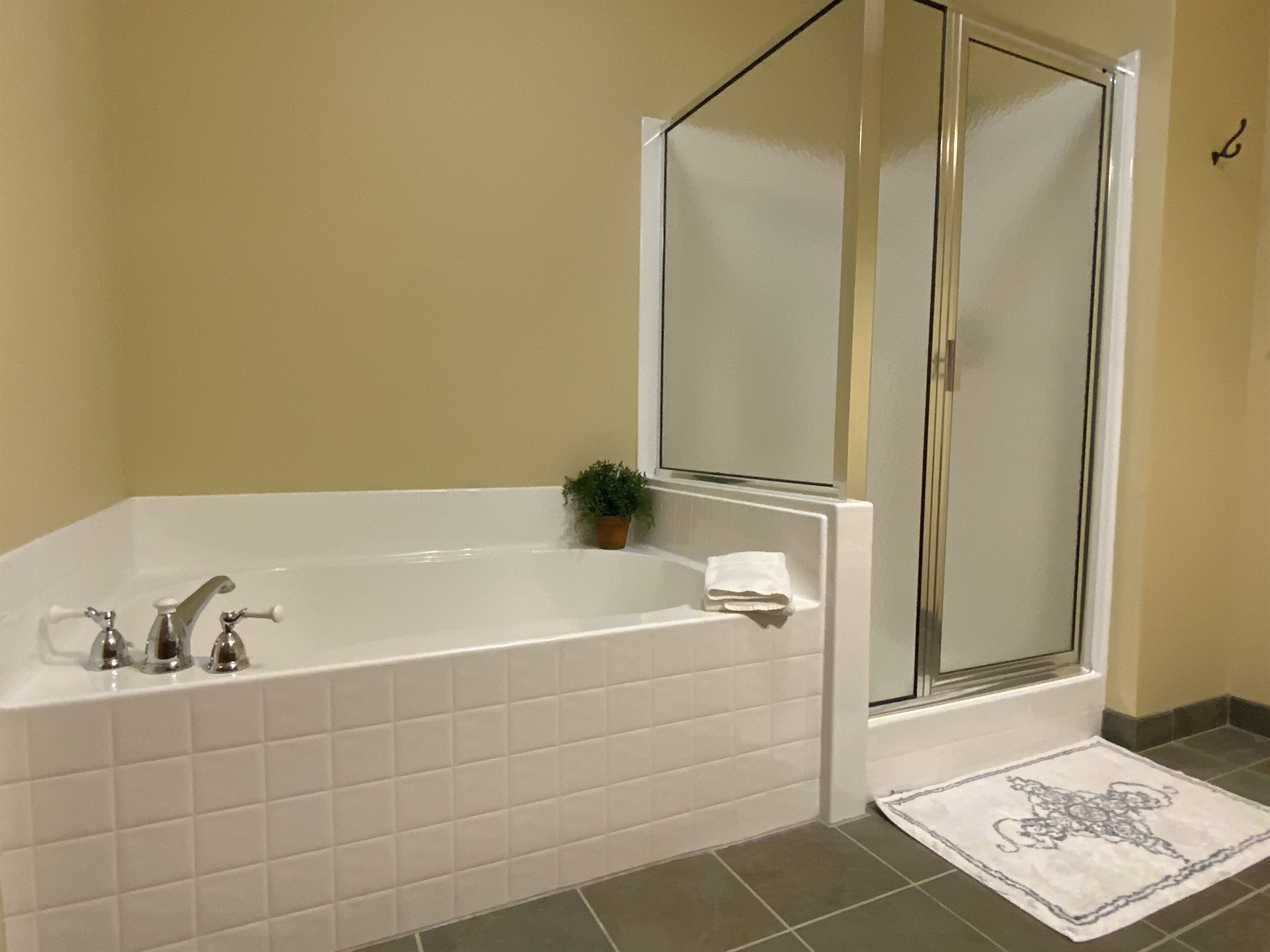 Soaker tub and shower in the master bathroom