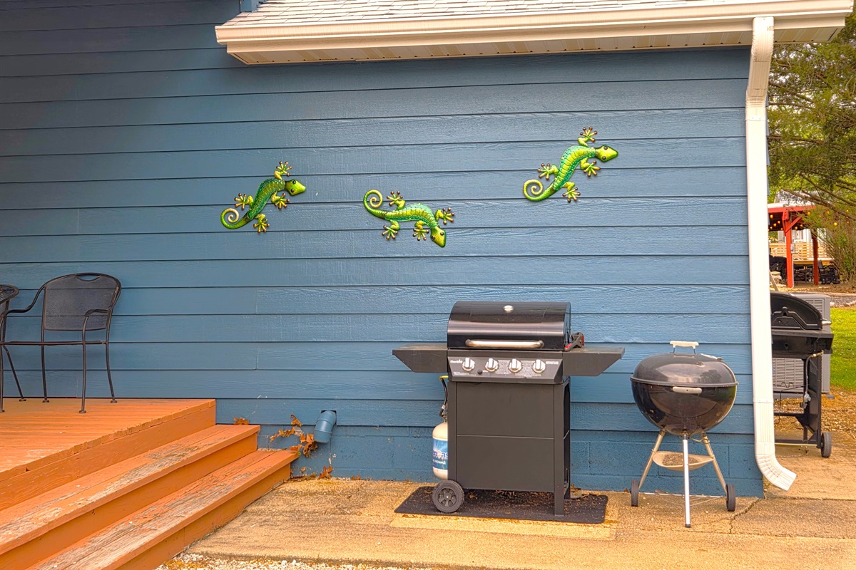The lizards will also want to keep an eye on things so we obliged them by adding them to the cabin!