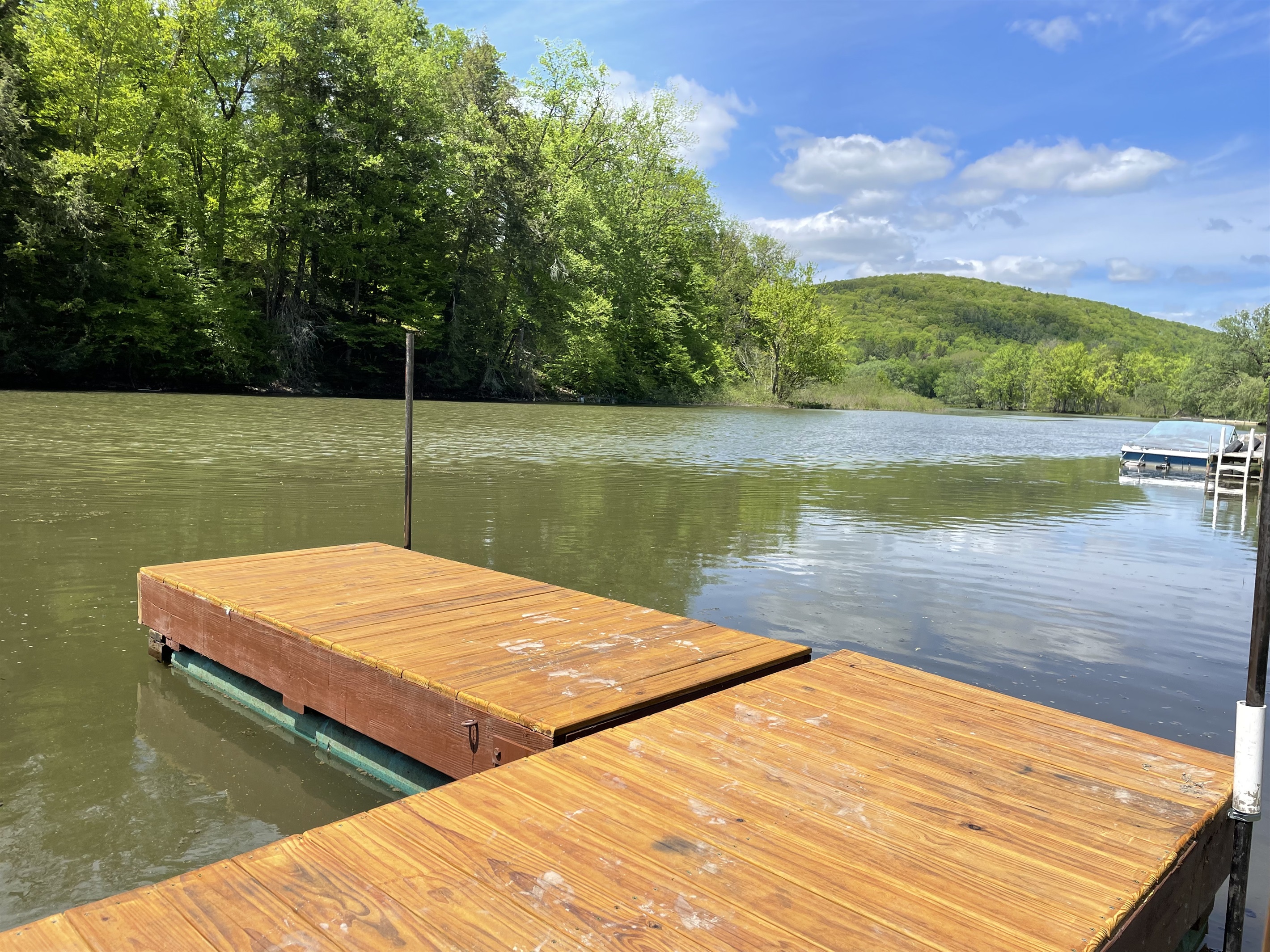 View from the dock facing upriver