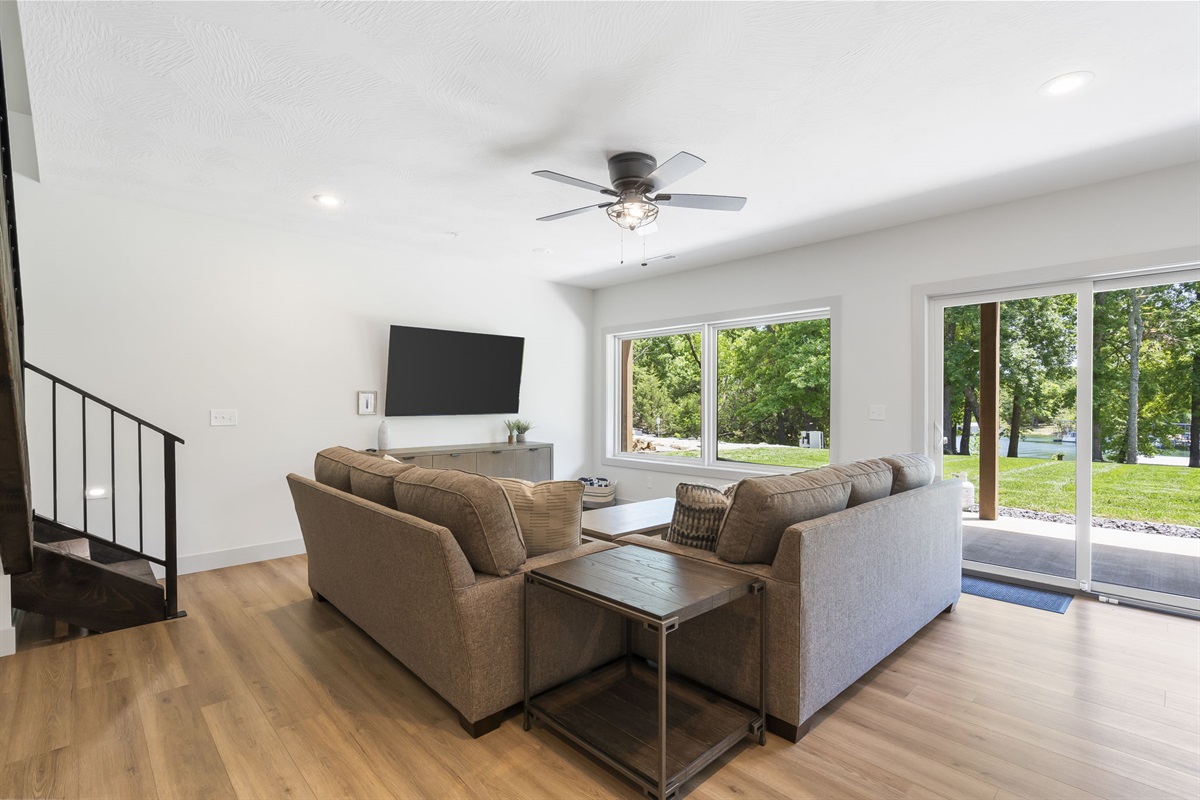 Lower level living room!